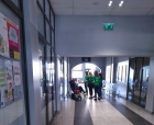 Zdjęcie: Wolontariusze w roli Wielkanocnego Zajączka