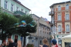 Zdjęcie: 30.07.2015 r.
