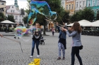 Zdjęcie: 30.07.2015 r.