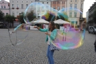 Zdjęcie: 30.07.2015 r.