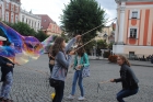 Zdjęcie: 30.07.2015 r.
