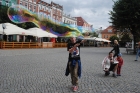 Zdjęcie: 30.07.2015 r.